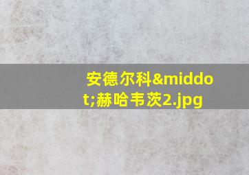 安德尔科·赫哈韦茨