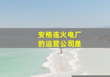 安格连火电厂的运营公司是
