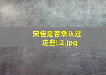 宋佳是否承认过这些�