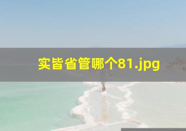 实皆省管哪个8