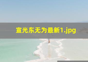 宣光东无为最新