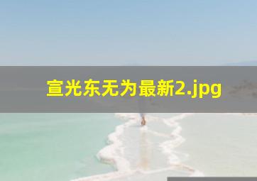 宣光东无为最新