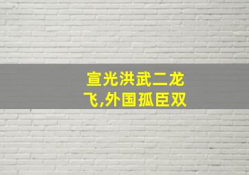 宣光洪武二龙飞,外国孤臣双