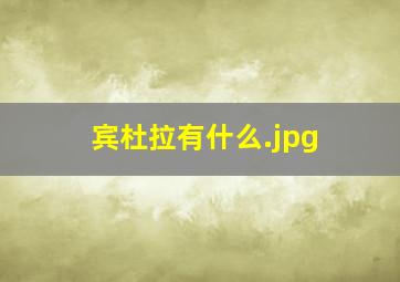 宾杜拉有什么