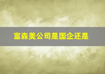 富森美公司是国企还是