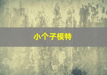 小个子模特