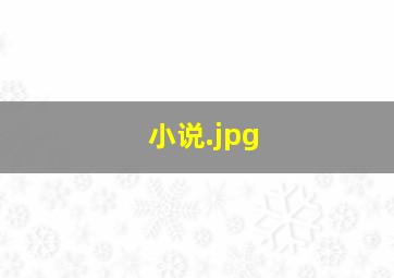小说