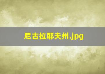 尼古拉耶夫州