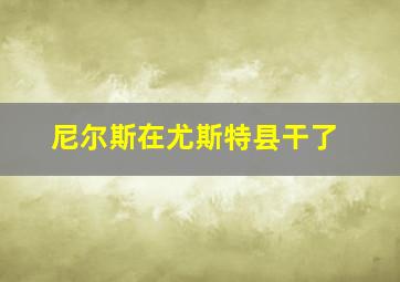 尼尔斯在尤斯特县干了