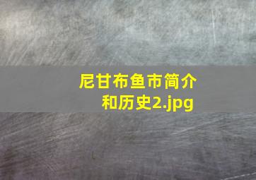 尼甘布鱼市简介和历史
