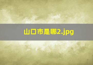 山口市是哪
