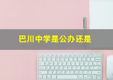 巴川中学是公办还是