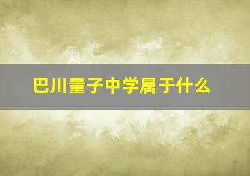 巴川量子中学属于什么