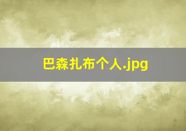 巴森扎布个人