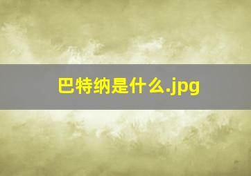 巴特纳是什么