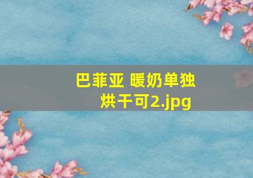 巴菲亚 暖奶单独烘干可