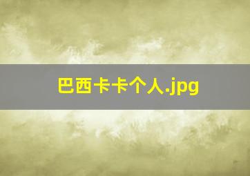 巴西卡卡个人