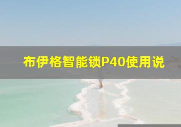布伊格智能锁P40使用说