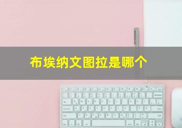 布埃纳文图拉是哪个