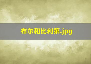 布尔和比利第