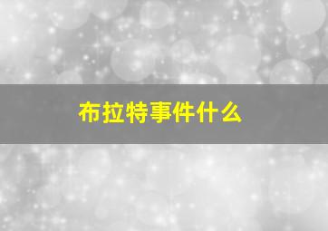 布拉特事件什么