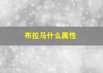 布拉马什么属性