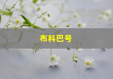 布科巴号