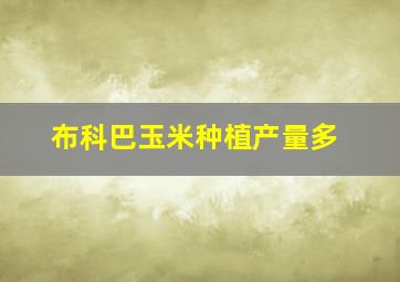 布科巴玉米种植产量多