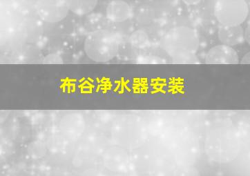 布谷净水器安装