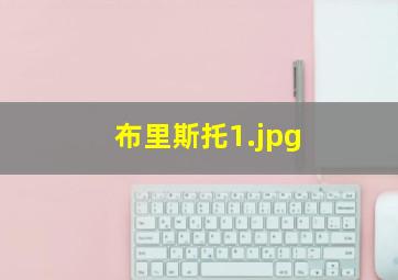 布里斯托
