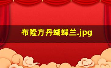 布隆方丹蝴蝶兰