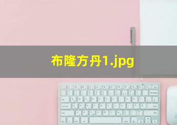 布隆方丹