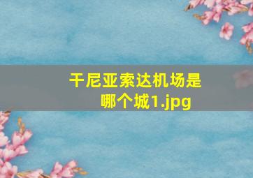 干尼亚索达机场是哪个城