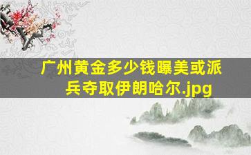 广州黄金多少钱曝美或派兵夺取伊朗哈尔