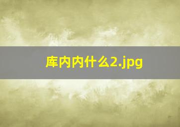 库内内什么