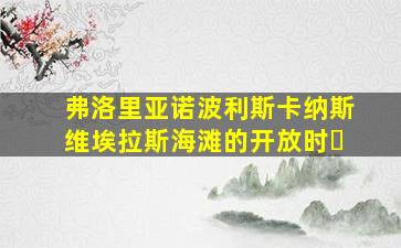弗洛里亚诺波利斯卡纳斯维埃拉斯海滩的开放时�