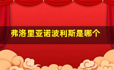 弗洛里亚诺波利斯是哪个