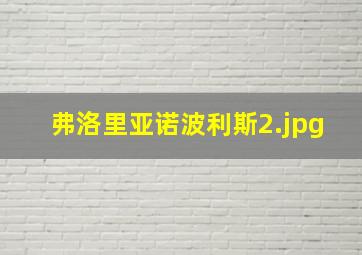 弗洛里亚诺波利斯