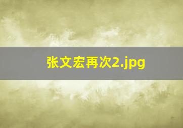 张文宏再次