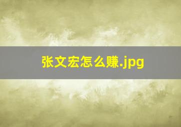张文宏怎么赚