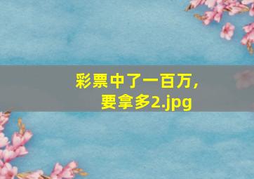 彩票中了一百万,要拿多