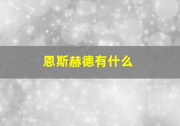 恩斯赫德有什么