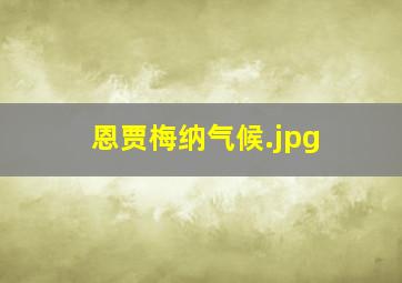 恩贾梅纳气候