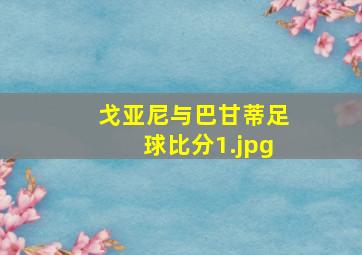 戈亚尼与巴甘蒂足球比分