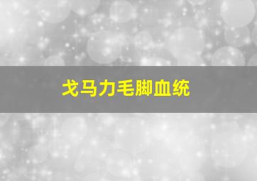 戈马力毛脚血统