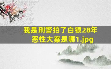 我是刑警拍了白银28年恶性大案是哪