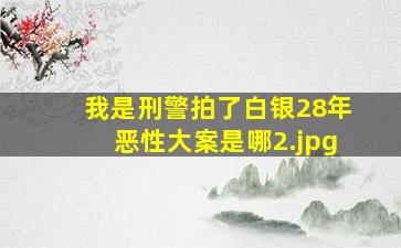 我是刑警拍了白银28年恶性大案是哪