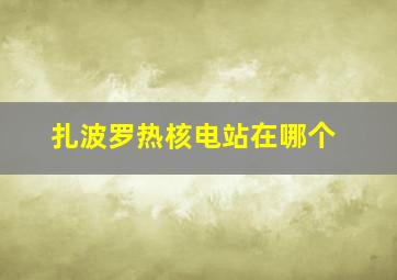扎波罗热核电站在哪个