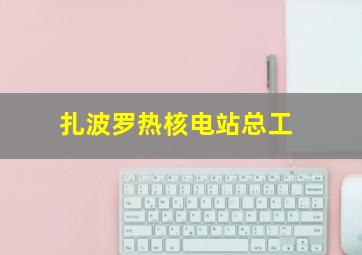 扎波罗热核电站总工