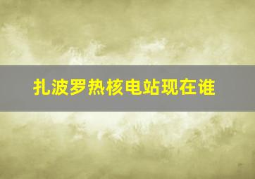 扎波罗热核电站现在谁